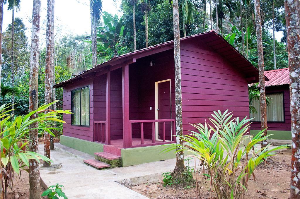 La Flora Prakruth Resort Coorg Madikeri Ngoại thất bức ảnh