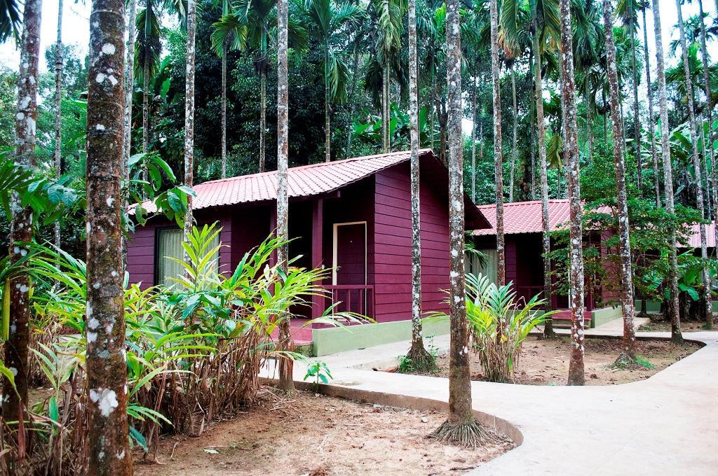 La Flora Prakruth Resort Coorg Madikeri Ngoại thất bức ảnh